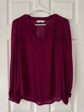 Wine Long-Sleeve V-Neck Blouse